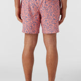 Hermosa Elastic Waist Lined 17" Swim Trunks