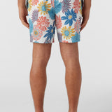 Hermosa Elastic Waist Lined 17" Swim Trunks