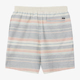 Bavaro Stripe 19" Shorts
