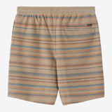 Bavaro Stripe 19" Shorts