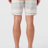 Bavaro Stripe 19" Shorts