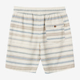 Low Key Stripe 18" Shorts