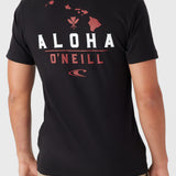 All Day Aloha Tee