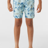 Boy's Hyperfreak Mysto Scallop 16" Boardshorts