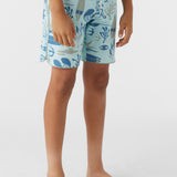 Boy's Hyperfreak Mysto Scallop 16" Boardshorts