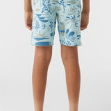 Boy's Hyperfreak Mysto Scallop 16" Boardshorts
