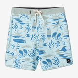 Boy's Hyperfreak Mysto Scallop 16" Boardshorts