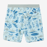 Boy's Hyperfreak Mysto Scallop 16" Boardshorts