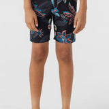 Boy's Hyperfreak Mysto 16" Boardshorts