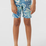 Boy's Hyperfreak Mysto 16" Boardshorts