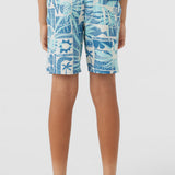 Boy's Hyperfreak Mysto 16" Boardshorts