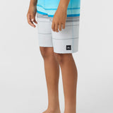 Boy's Hyperfreak Heat Stripe 17" Boardshorts
