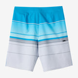 Boy's Hyperfreak Heat Stripe 17" Boardshorts