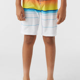 Boy's Hyperfreak Heat Stripe 17" Boardshorts