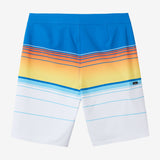Boy's Hyperfreak Heat Stripe 17" Boardshorts