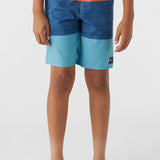 Boy's Hyperfreak Heat Block 17" Boardshorts