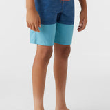 Boy's Hyperfreak Heat Block 17" Boardshorts