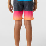 Boy's Hyperfreak Heat Block 17" Boardshorts