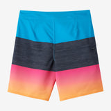 Boy's Hyperfreak Heat Block 17" Boardshorts