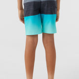 Boy's Hyperfreak Heat Block 17" Boardshorts
