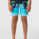 Boy's Hyperfreak Heat Block 17" Boardshorts