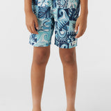 Boy's Cruzer 16" Boardshorts