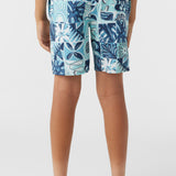 Boy's Cruzer 16" Boardshorts