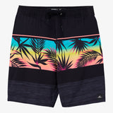 Boy's Hermosa Elastic Waist 16" Swim Trunks