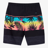 Boy's Hermosa Elastic Waist 16" Swim Trunks