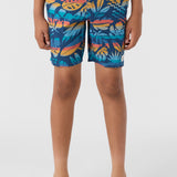 Boy's Hermosa Elastic Waist 16" Swim Trunks