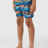 Boy's Hermosa Elastic Waist 16" Swim Trunks