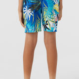 Boy's Hermosa Elastic Waist 16" Swim Trunks