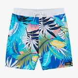 Boy's Hermosa Elastic Waist 16" Swim Trunks