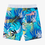 Boy's Hermosa Elastic Waist 16" Swim Trunks