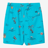 Boy's Hermosa Crew 16" Swim Trunks