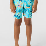 Boy's Hermosa Elastic Waist 16" Swim Trunks
