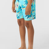 Boy's Hermosa Elastic Waist 16" Swim Trunks