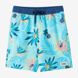 Boy's Hermosa Elastic Waist 16" Swim Trunks
