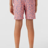 Boy's Hermosa Elastic Waist 16" Swim Trunks