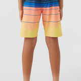 Boy's Superfreak 17" Boardshorts