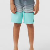 Boy's Lennox Stripe 18" Boardshorts