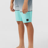 Boy's Lennox Stripe 18" Boardshorts