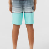 Boy's Lennox Stripe 18" Boardshorts