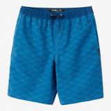 Boy's Stockton Print Elastic Waist 16" Hybrid Shorts