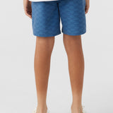 Boy's Stockton Print Elastic Waist 16" Hybrid Shorts