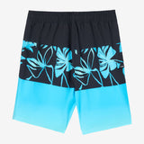 Boy's Hyperfreak Heat Block 17" Boardshorts