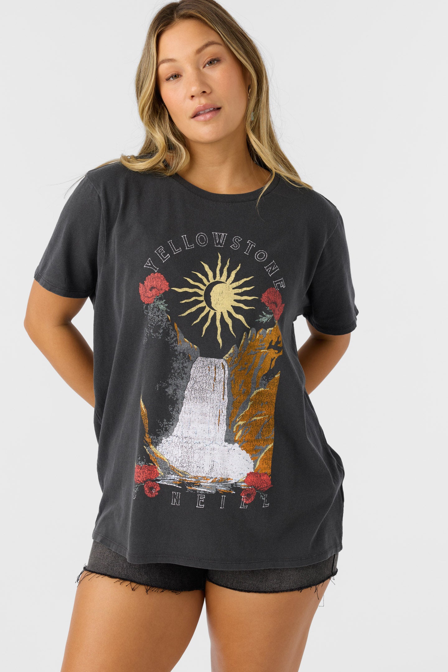 YELLOWSTONE TEE