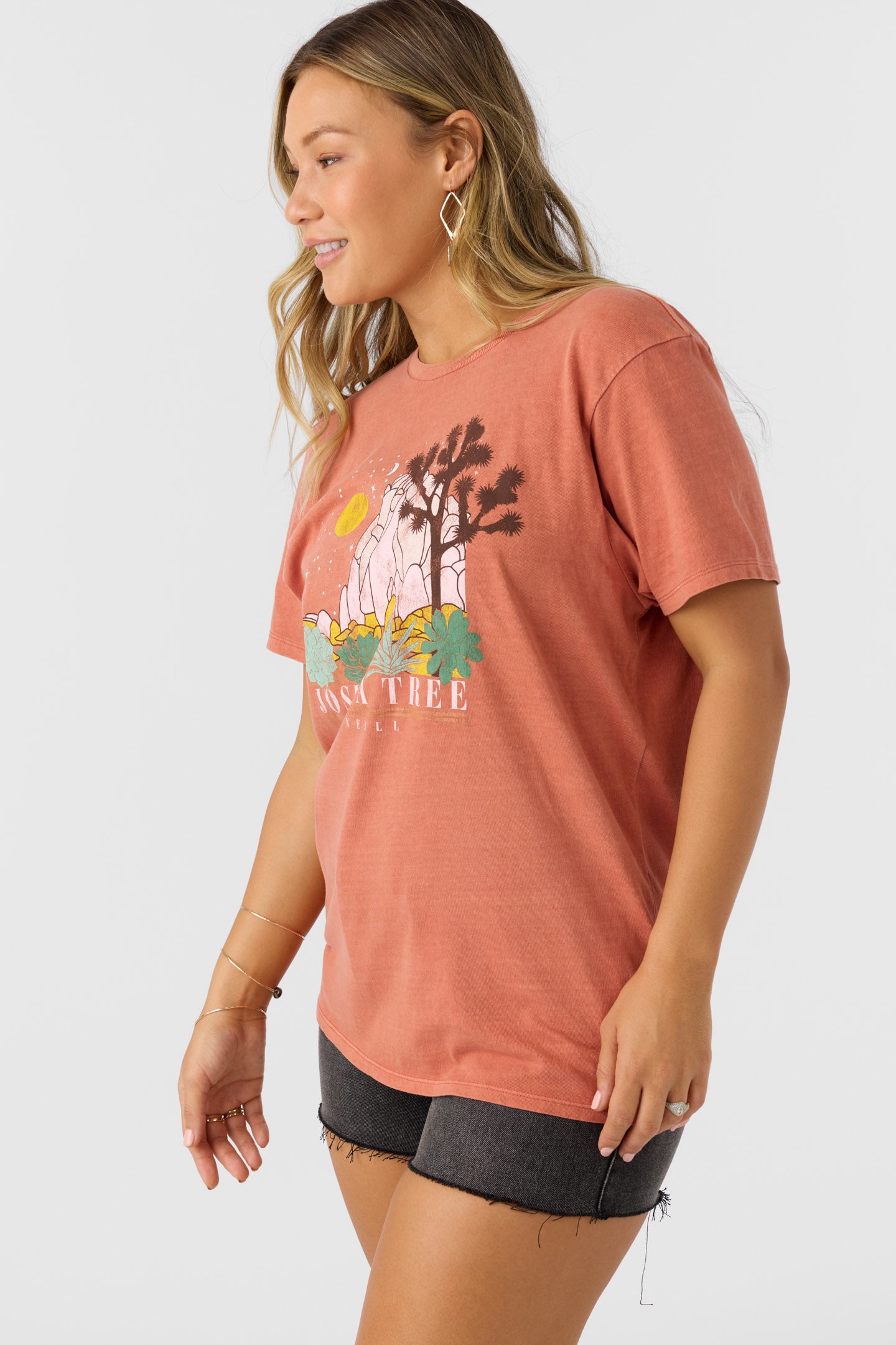 JOSHUA TREE TEE