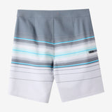 Hyperfreak Heat Stripe 21" Boardshorts