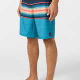 Hyperfreak Heat Stripe 21" Boardshorts